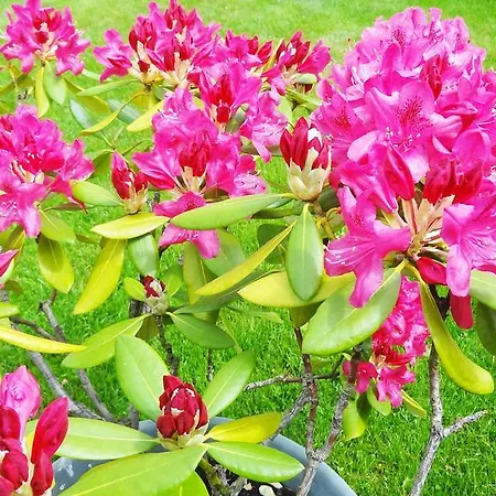 Apartamento Haus Of *